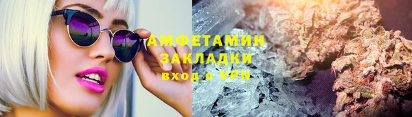 ПСИЛОЦИБИНОВЫЕ ГРИБЫ Белокуриха