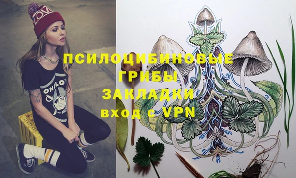 spice Покров