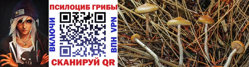Галлюциногенные грибы мухоморы Саяногорск